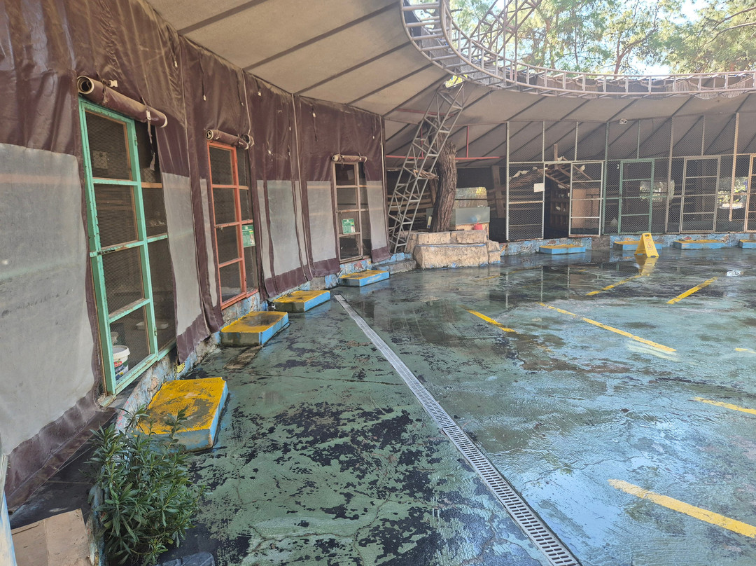 Dinopark-Goynuk必去景点