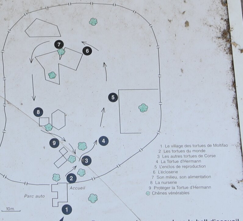 Le village des tortues-Moltifao必去景点