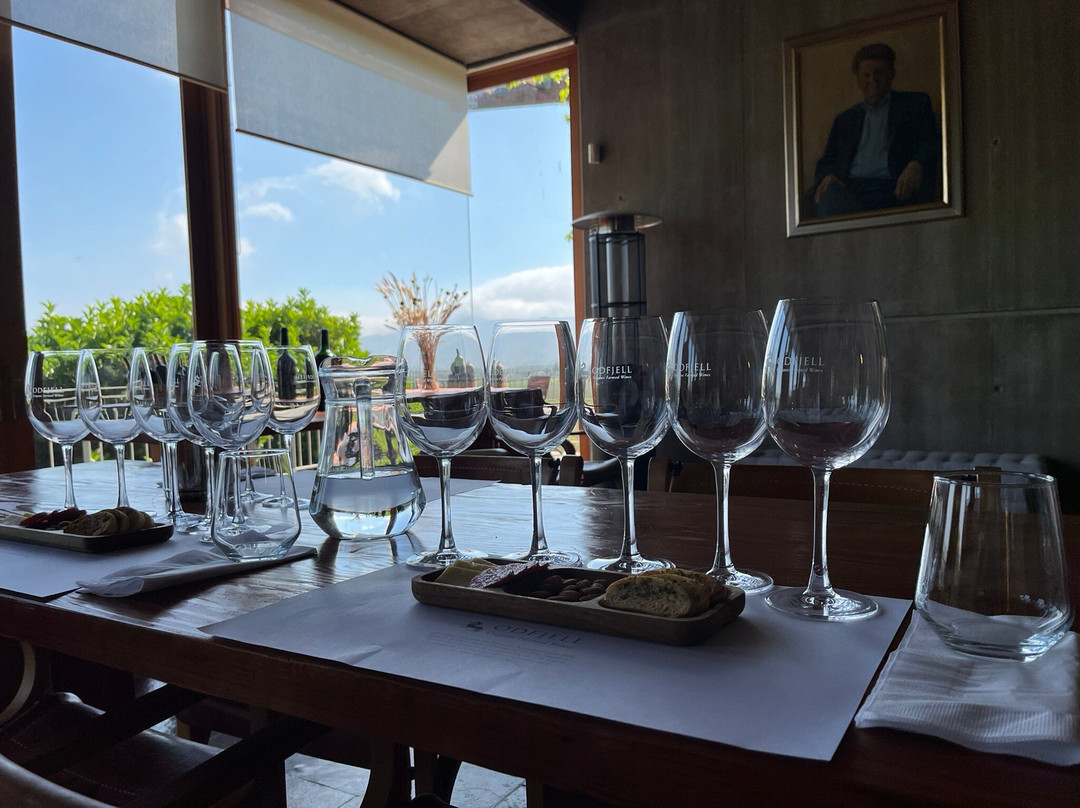 Odfjell Vineyards-Padre Hurtado必去景点