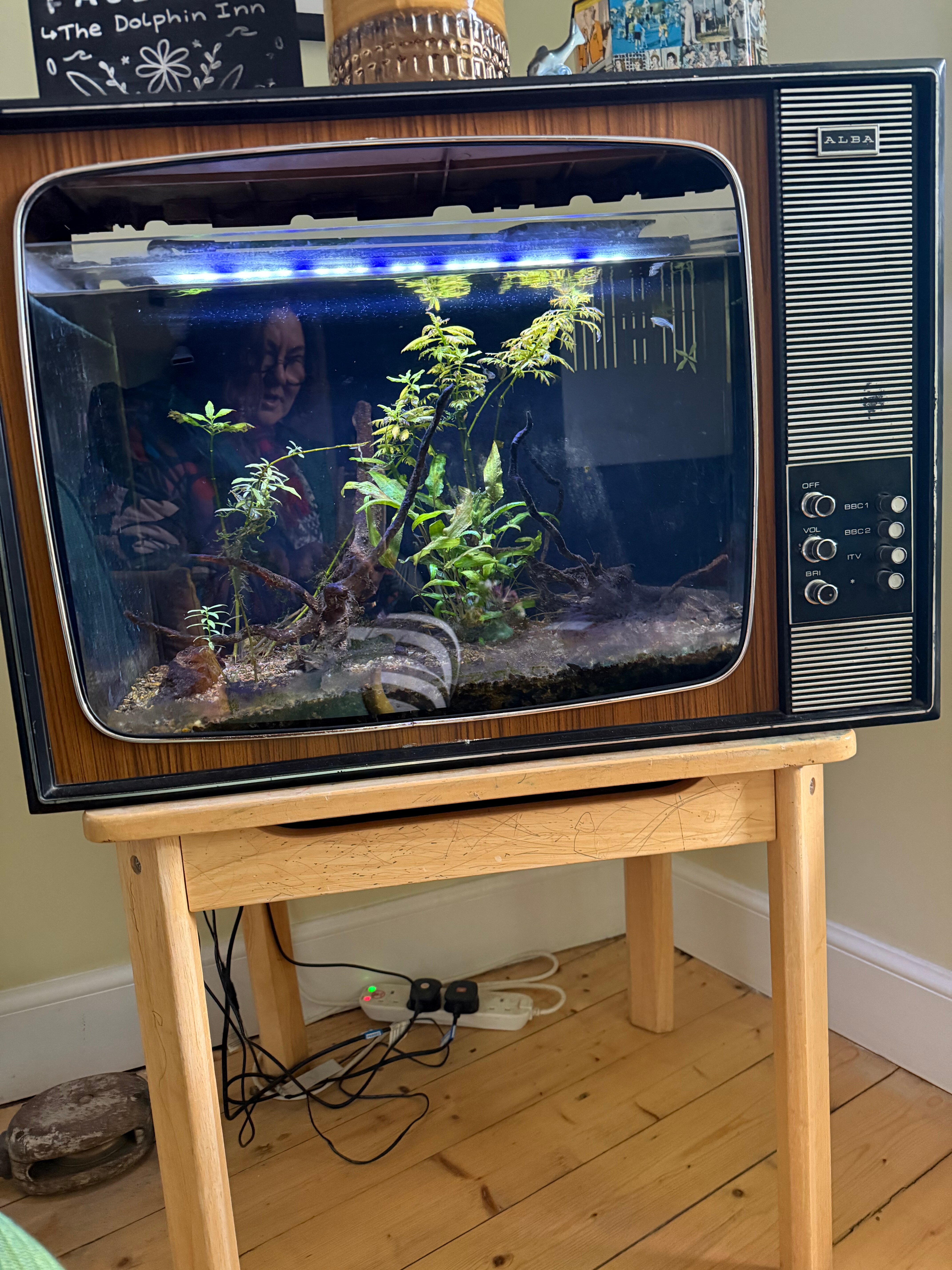 The Dolphin Inn-家庭/游戏区