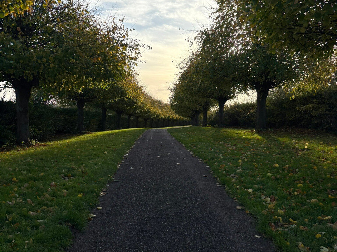 Welbeck Estate-沃克索普必去景点