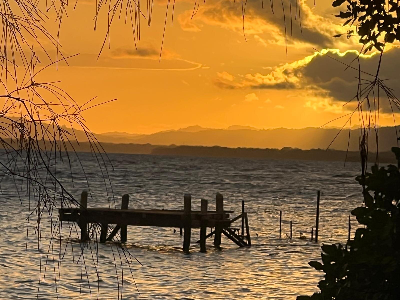 Driftwood Resort-官方