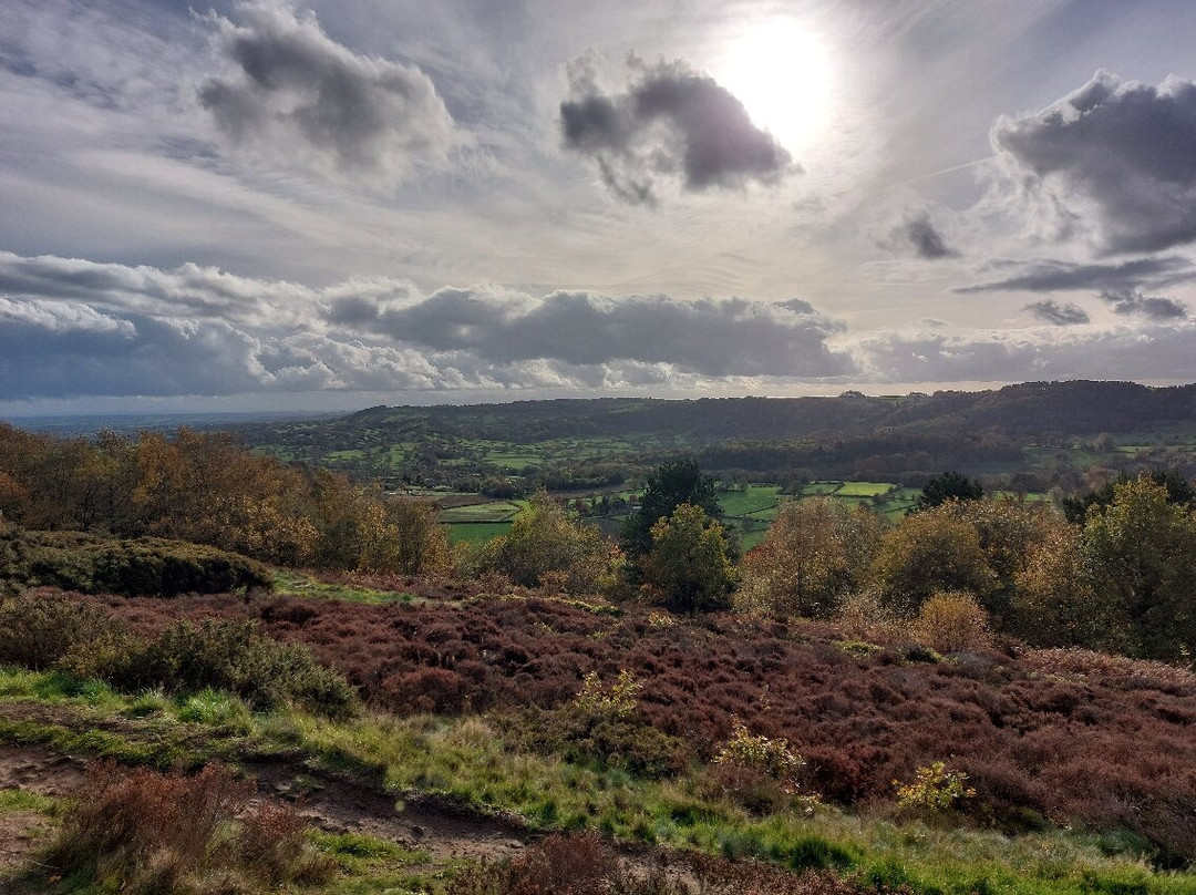 The Old Poets' Corner主图