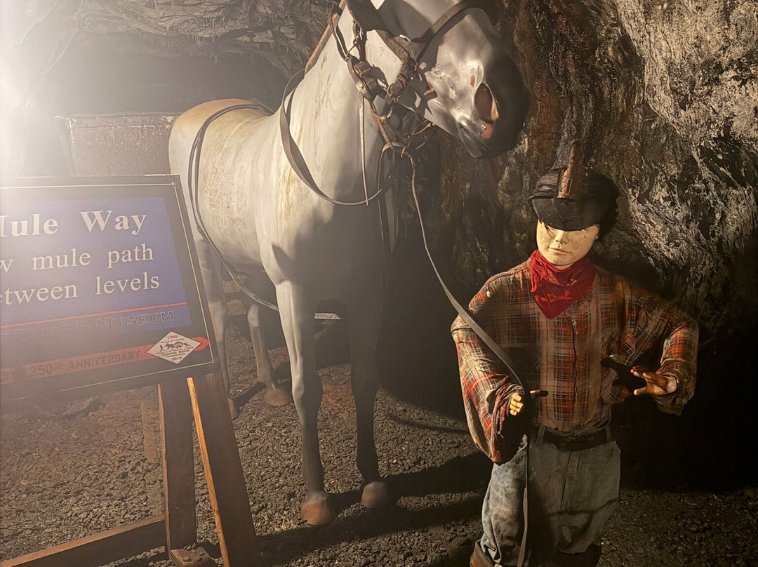 No. 9 Coal Mine and Museum-Lansford必去景点