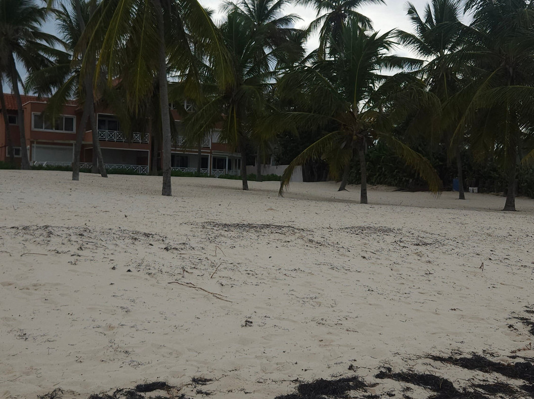 Agencia de Viajes Travel Oly-奇瓦瓦州必去景点