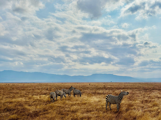 Thanni Tours-蒙巴萨必去景点
