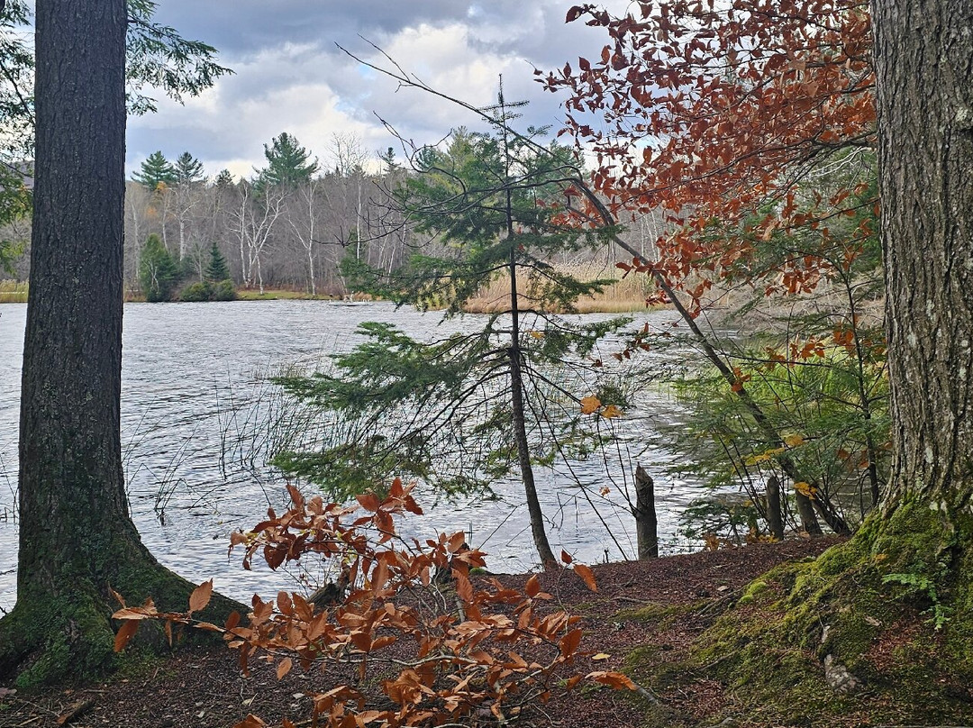 Best Western Inn & Suites Rutland-Killington主图