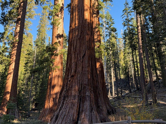 约塞米蒂发现之旅-奥克赫斯特必去景点