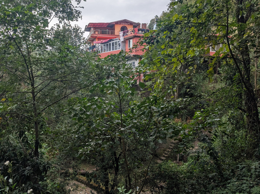 Osho Divine Zone-加德满都必去景点