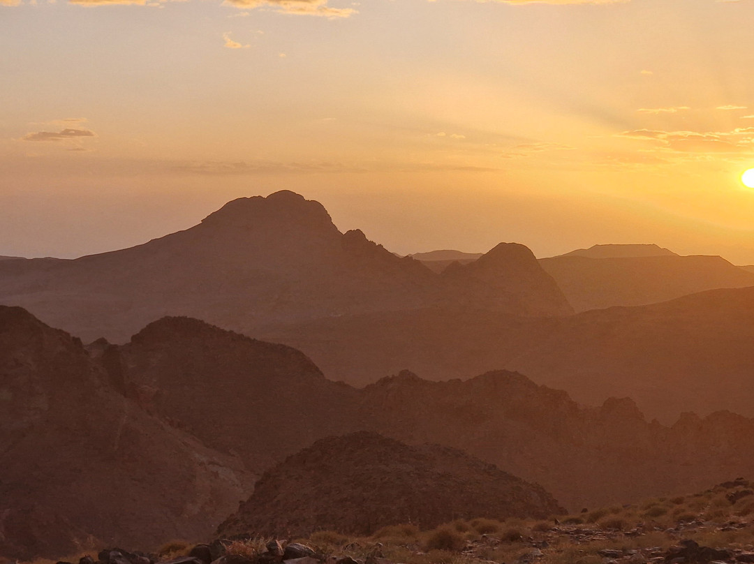 Fancyellow Travel Services-阿尔及尔必去景点