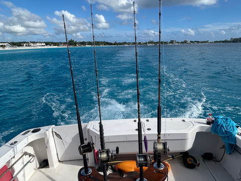 Therapy Charters-布里奇顿必去景点