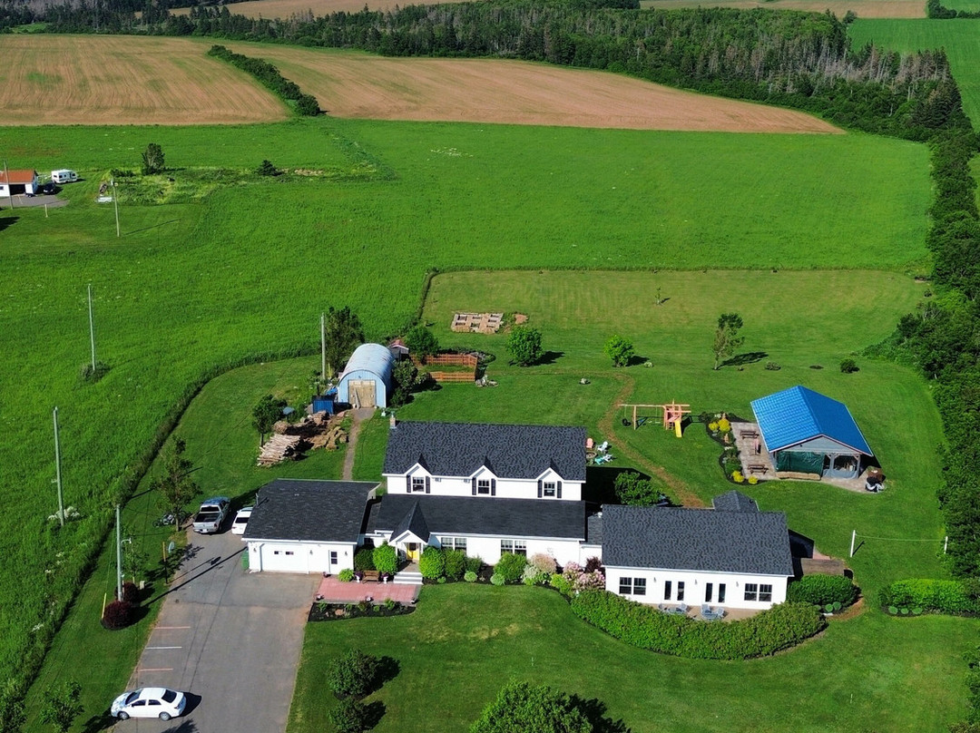 The Graham Inn主图