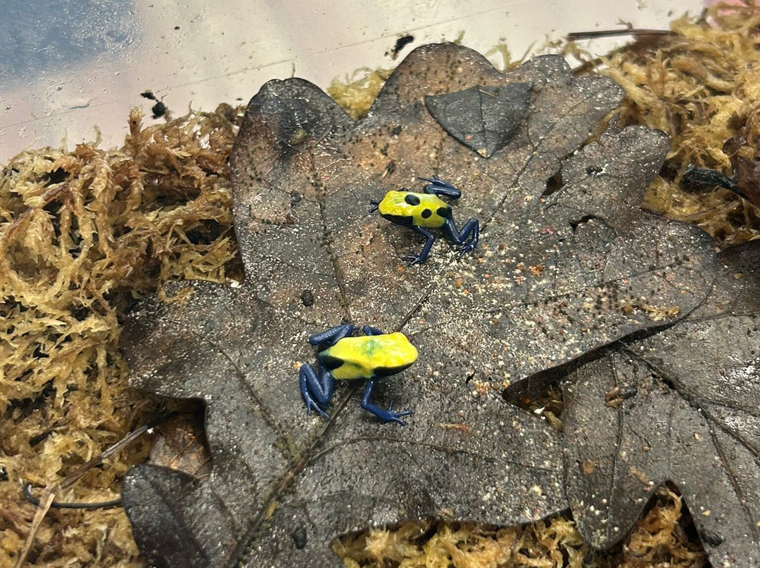 Really Wild Planet-比迪福德必去景点