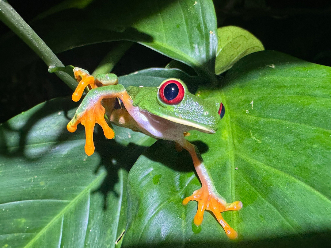 Tarantulas Way-卡维塔必去景点