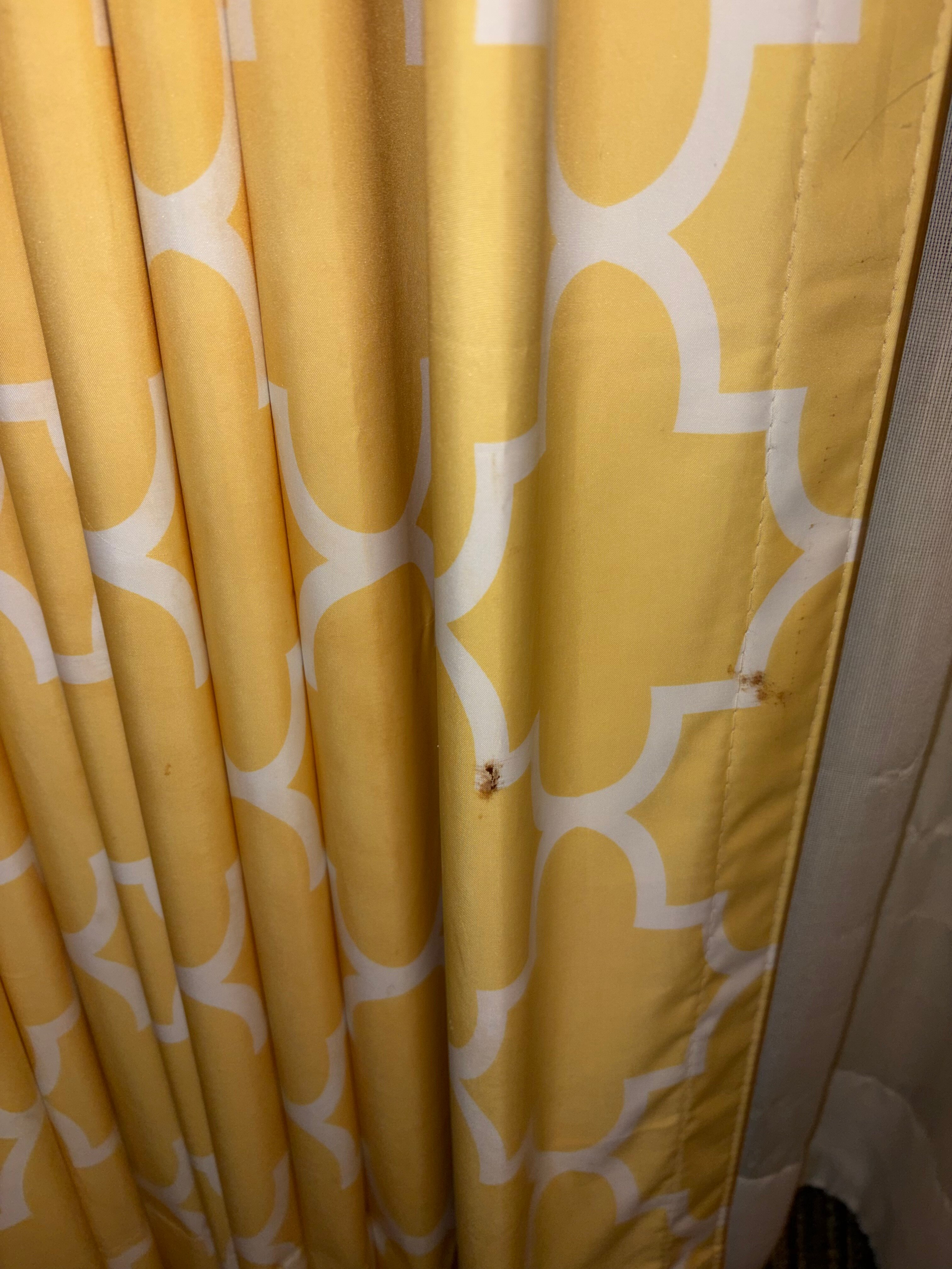 Sonesta Simply Suites Cleveland Airport-客卧