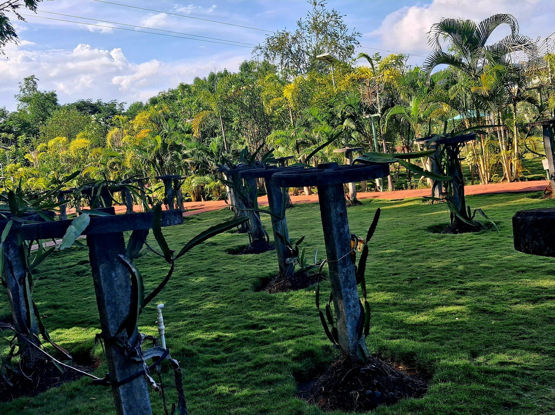 Cactus Garden-Kevadia必去景点