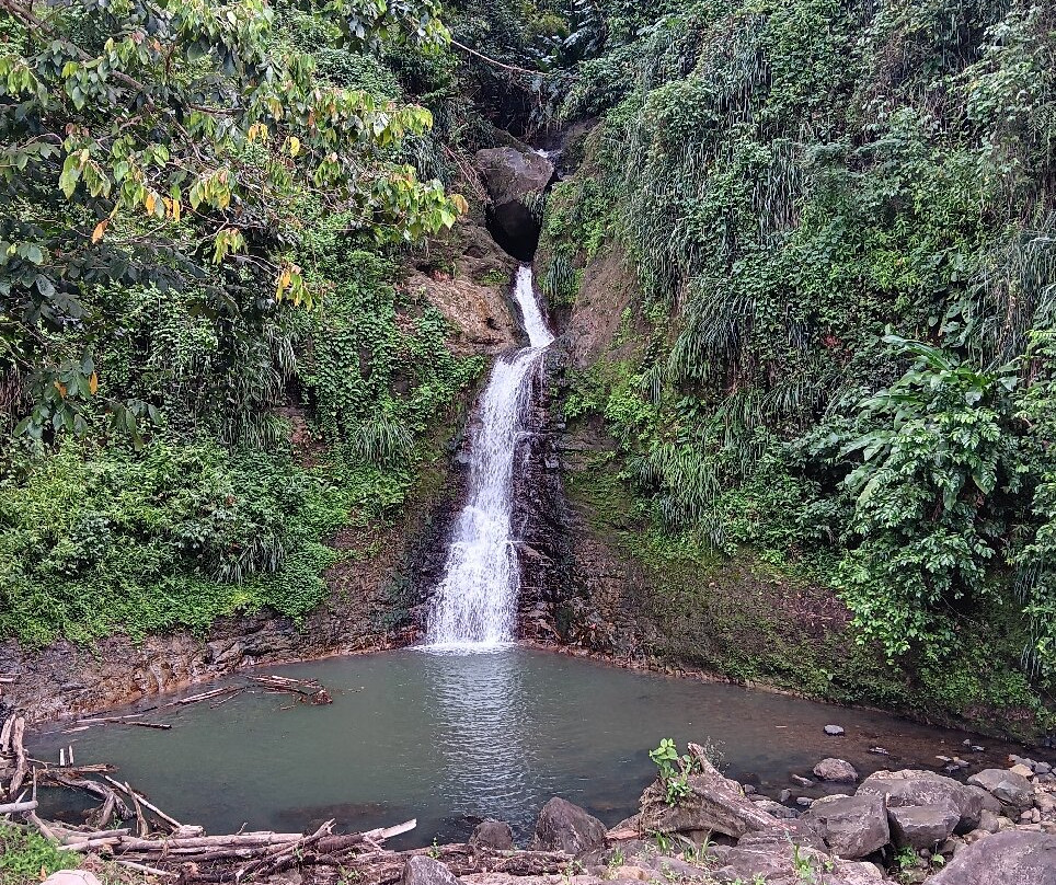 Annandale Falls-St. George's必去景点