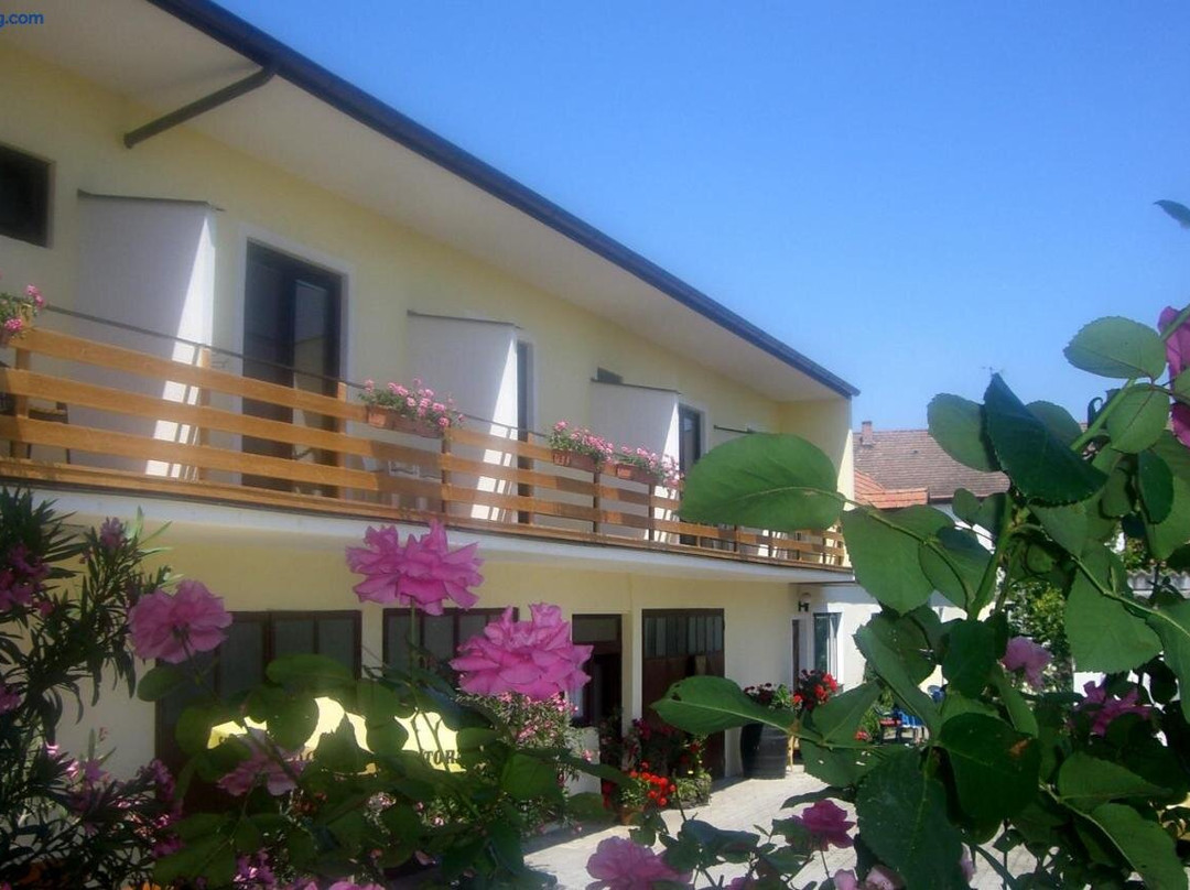 Gaestehaus Elfriede主图