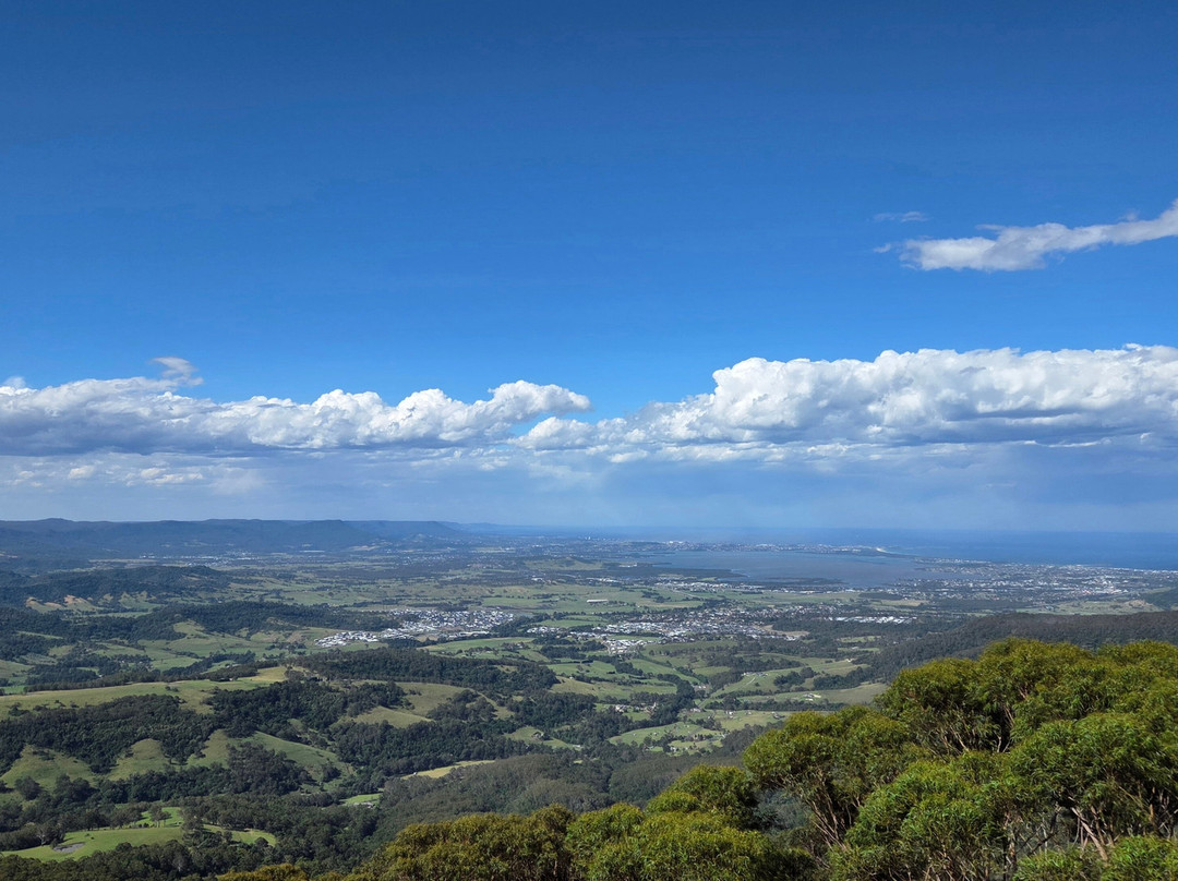 Illawarra Fly Treetop Walk-Knights Hill必去景点