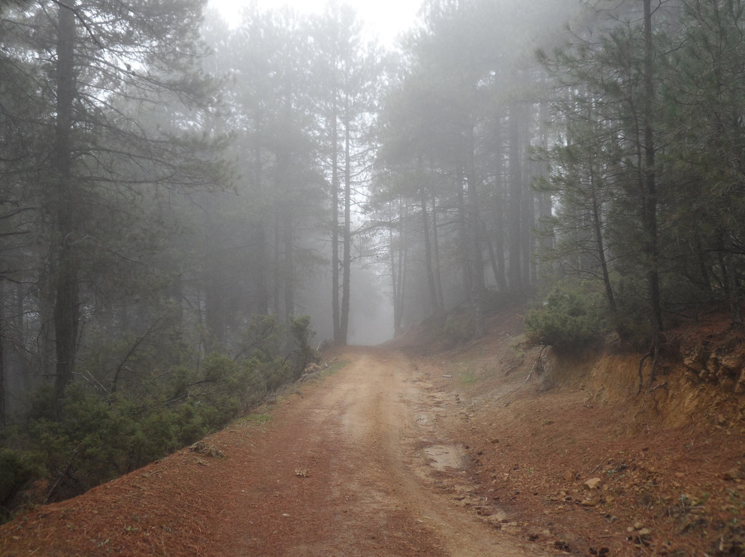 Hornos酒店住宿-Refugio Del Segura