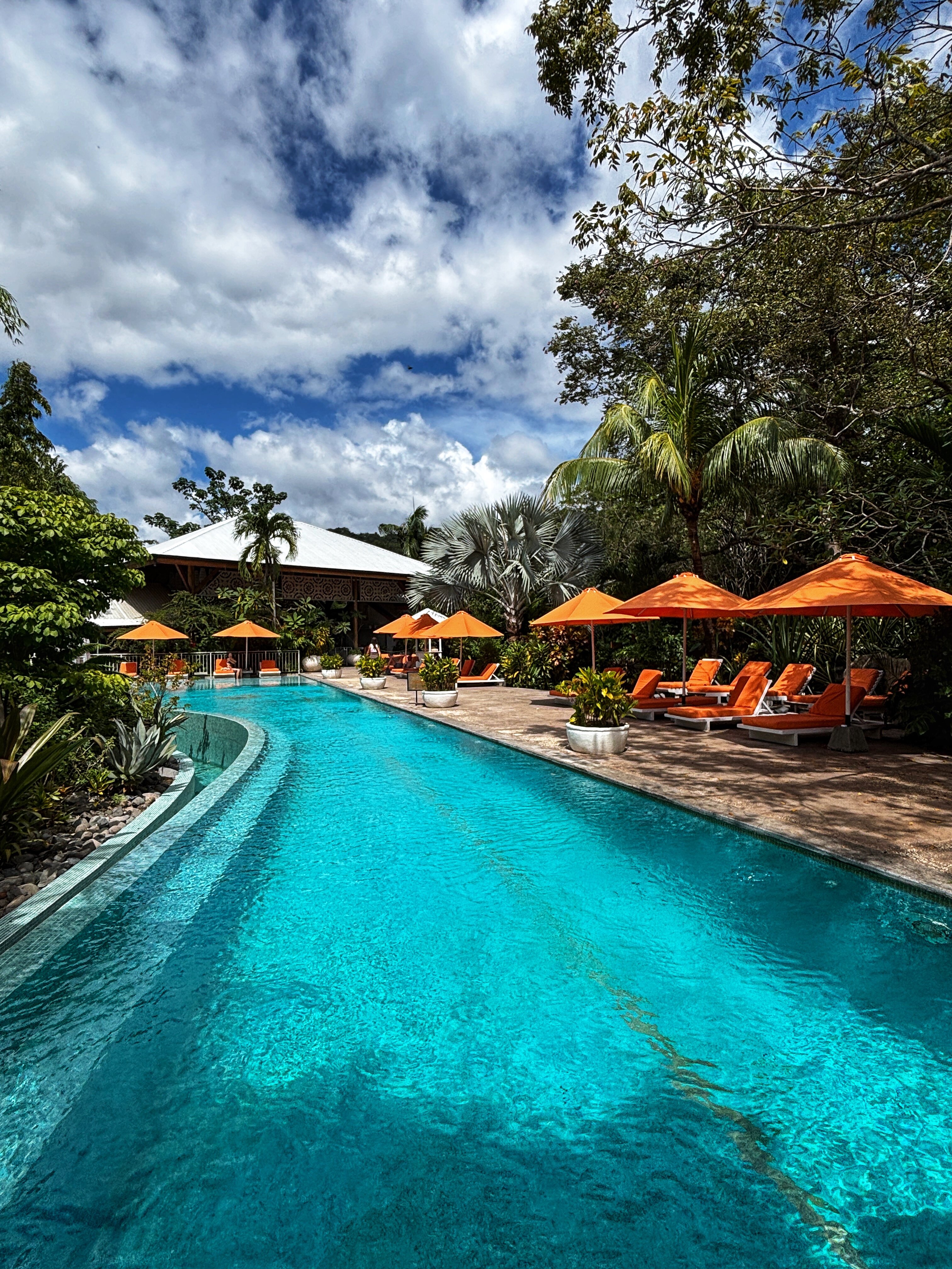 Bodhi Tree Yoga Resort-泳池