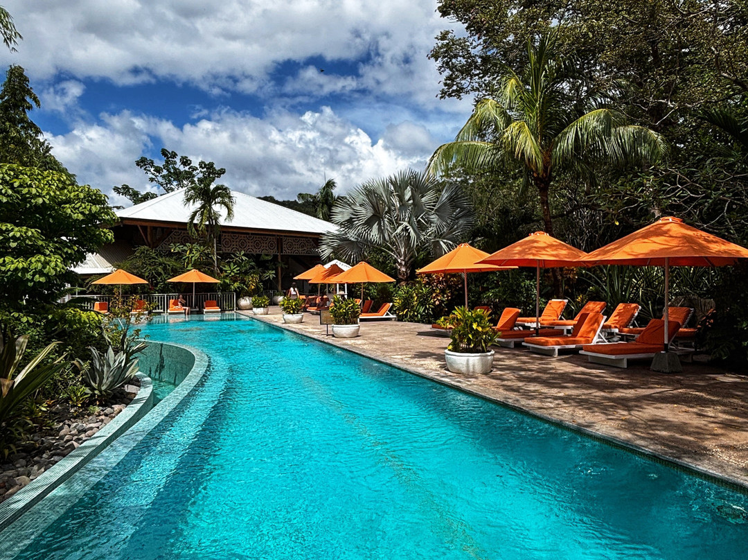 Bodhi Tree Yoga Resort主图