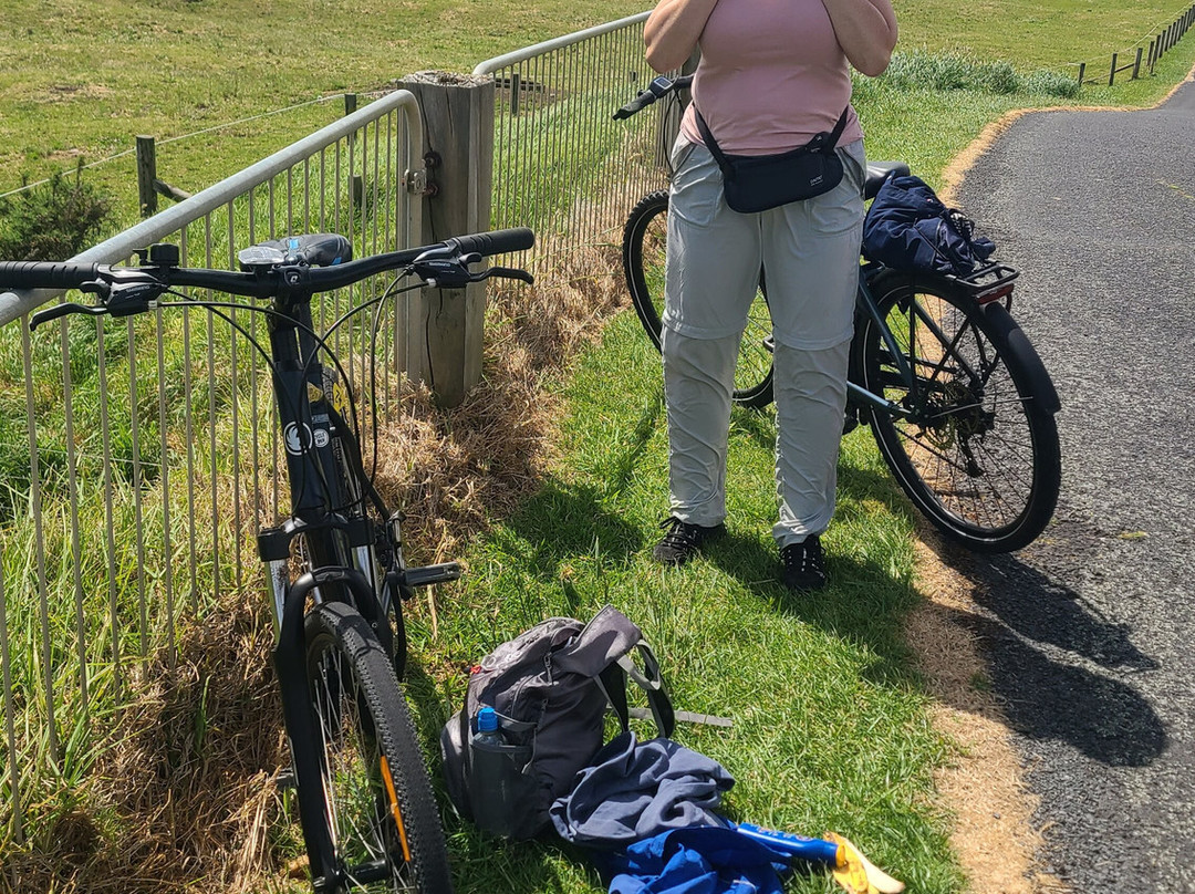 Cycle Inn-新普利默斯必去景点