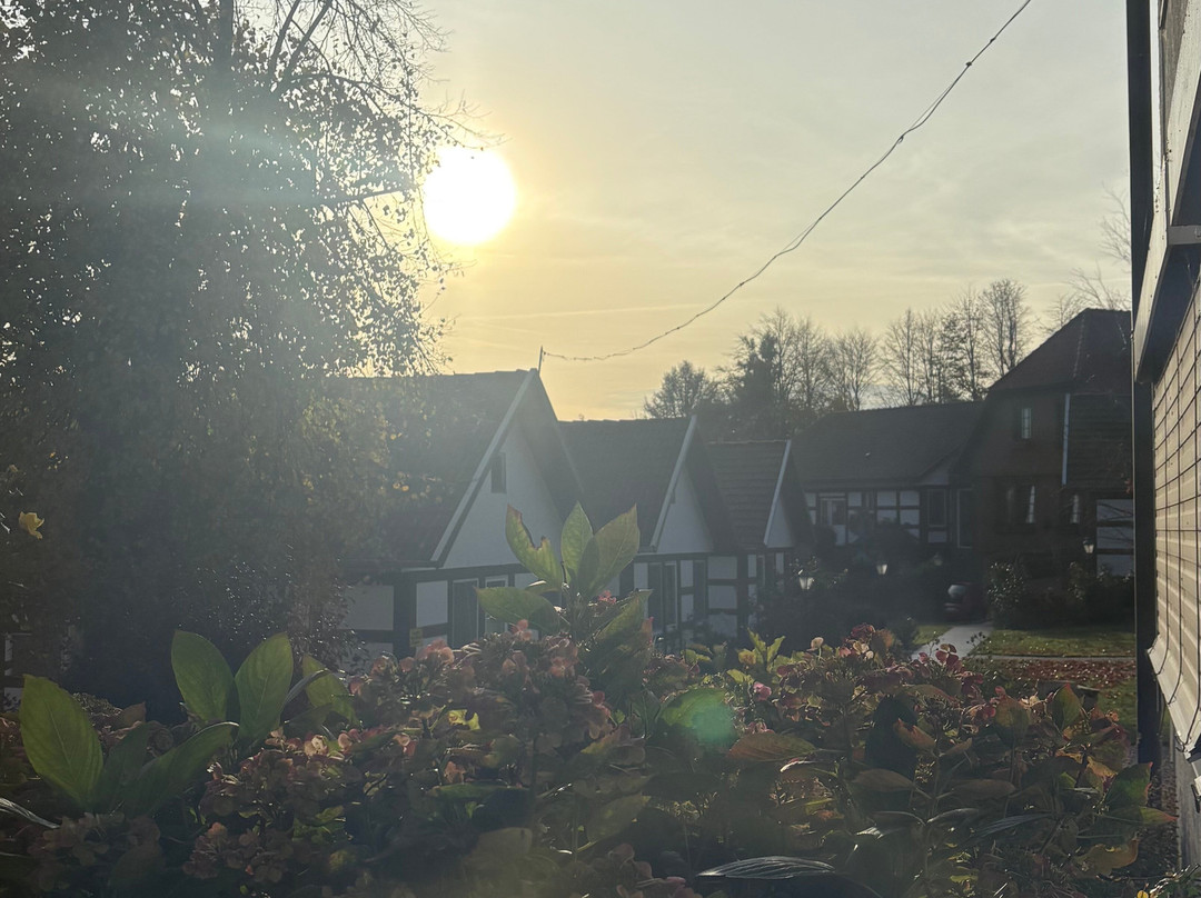 Alcor Hotel Feriendorf an der Ostsee主图