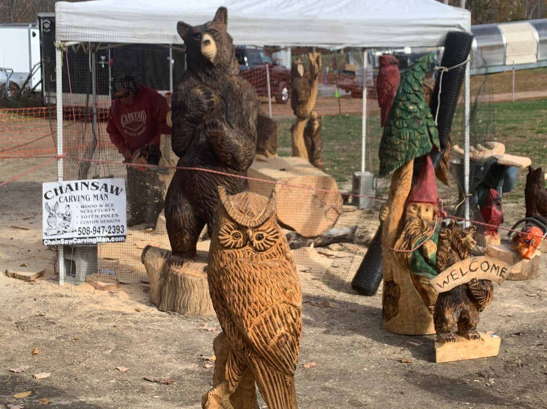 Wachusett Mountain Ski Area-Princeton必去景点