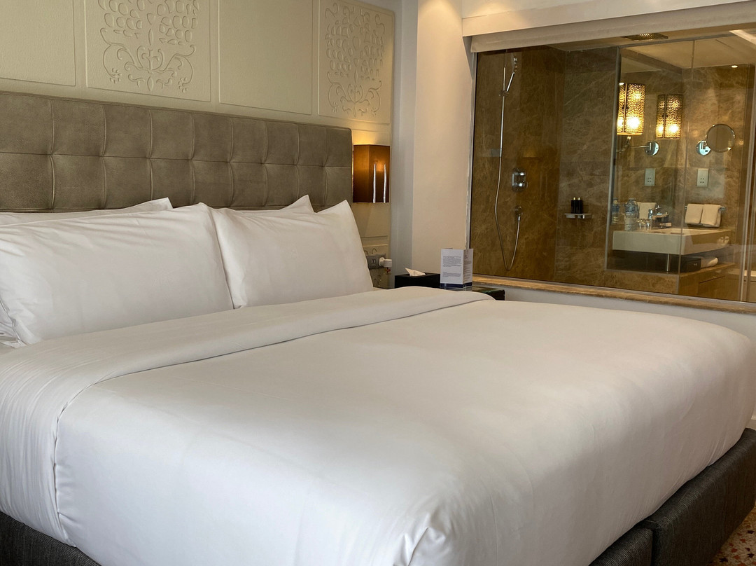 阿布贾喜来登酒店主图