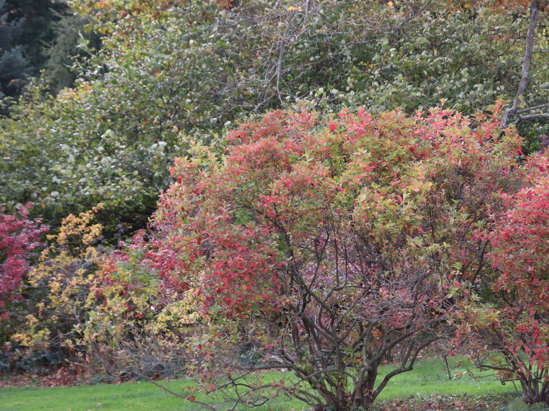 Winterthur Museum, Garden & Library-Winterthur必去景点
