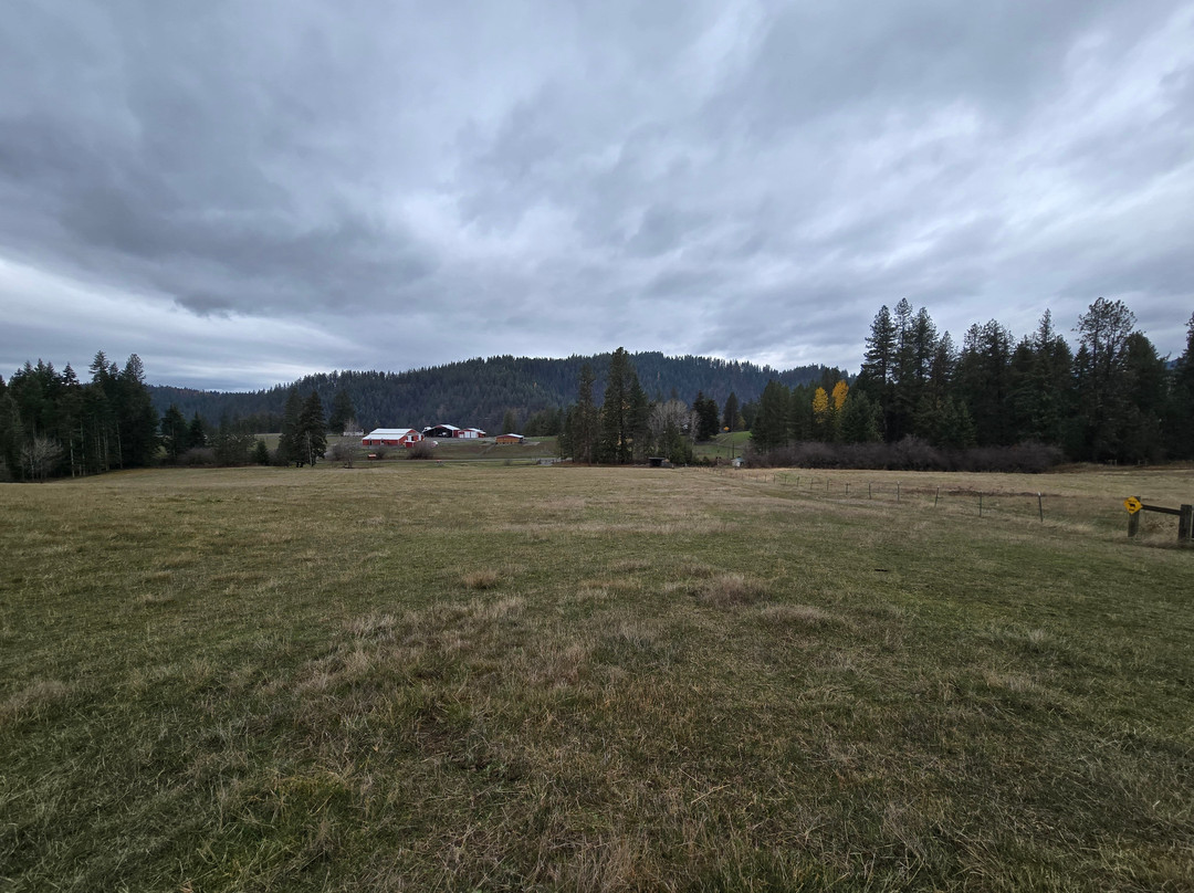 Seven Stars Alpaca Ranch Llc-科达伦必去景点