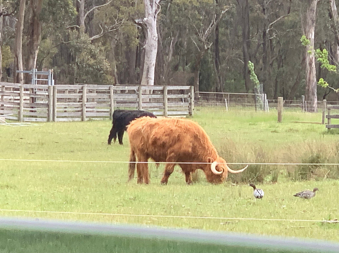 Mount Macedon Winery-马其顿必去景点