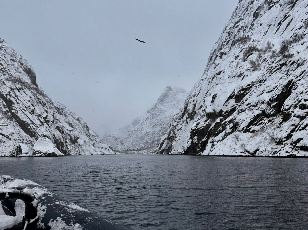 Go2Lofoten-斯沃尔韦尔必去景点