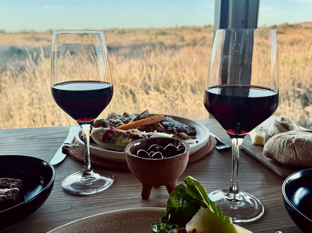 !Khwa ttu-Yzerfontein必去景点