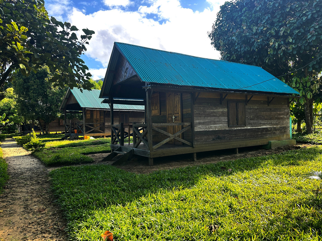 Masoala National Park-Maroantsetra必去景点
