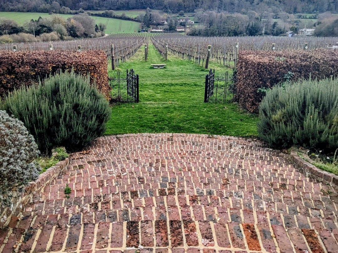 Hambledon Vineyard-Hambledon必去景点