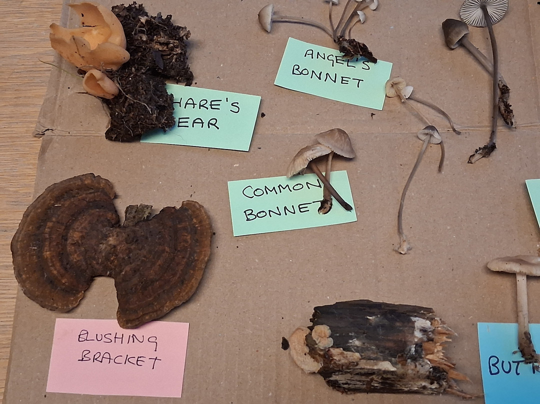 Hickling Broad-Hickling必去景点