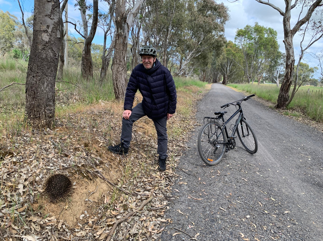 Great Victorian Rail Trail-维多利亚必去景点