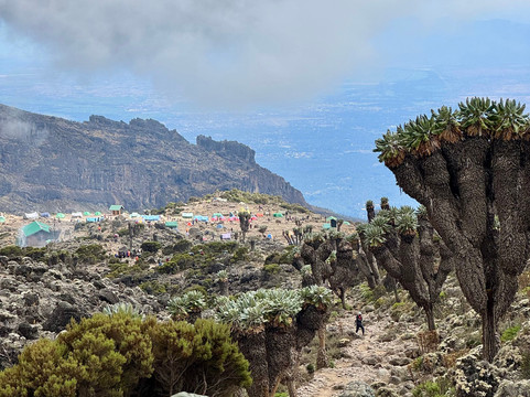 Kilimanjaro Elite Tours-莫西必去景点