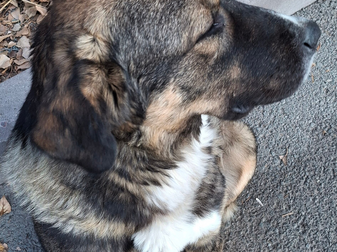 Jermuk Moscow health resort主图