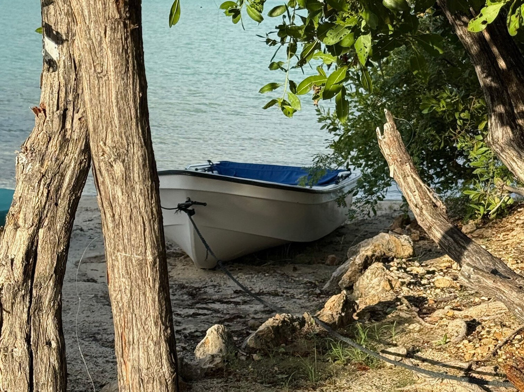 Island Fish Fry-普罗维登西亚莱斯必去景点