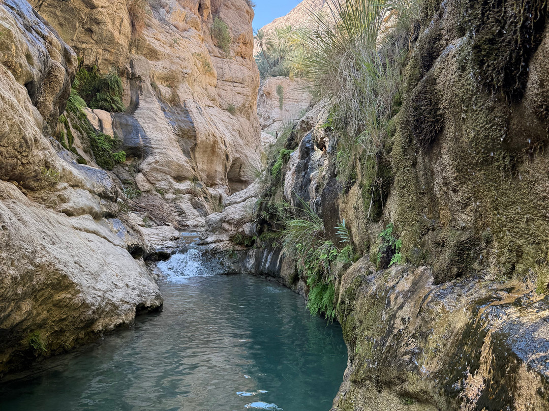 Wadi Tiwi-提维必去景点