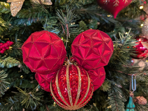 阿纳海姆希尔顿花园度假酒店主图