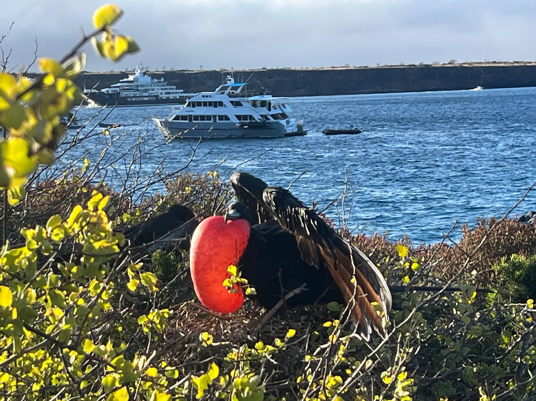 Go Galápagos Tours-Baltra必去景点