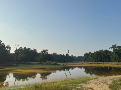 The Jungle Book Safari & Tours,  Chitwan National Park-苏拉哈必去景点