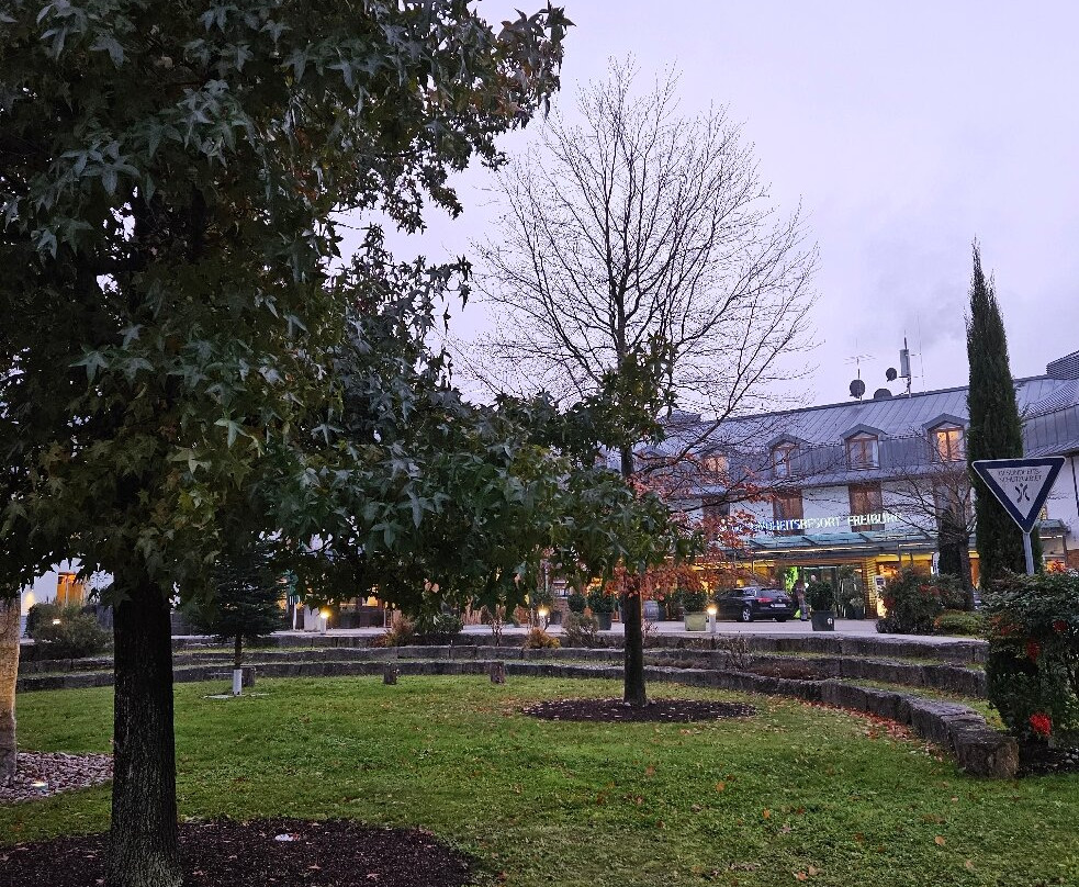 Dorint Thermenhotel Freiburg主图