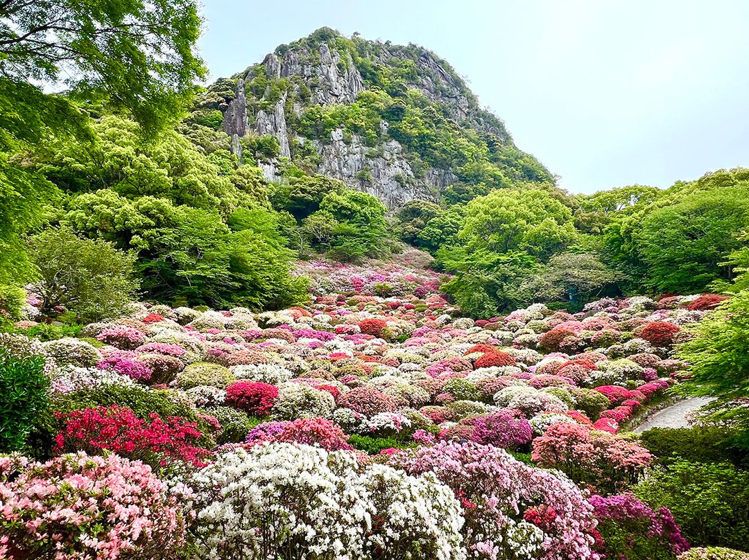 Mifuneyama Rakuen-武雄市必去景点
