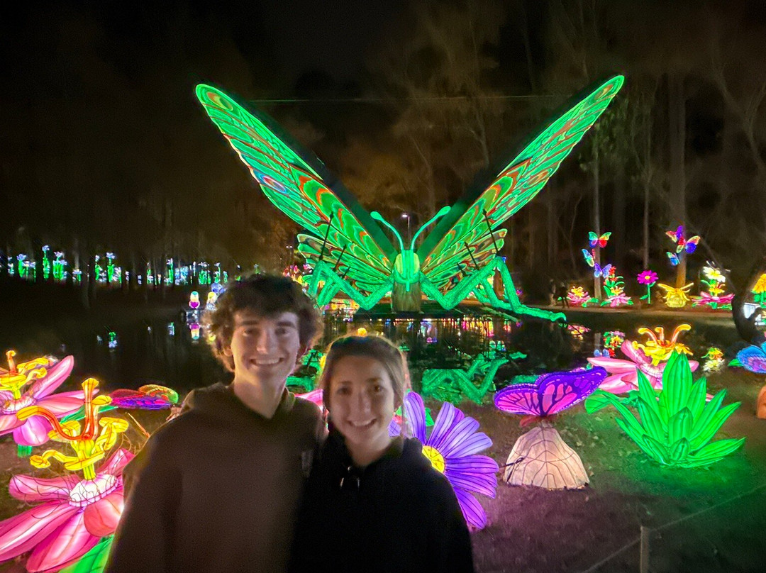 North Carolina Chinese Lantern Festival-卡瑞必去景点