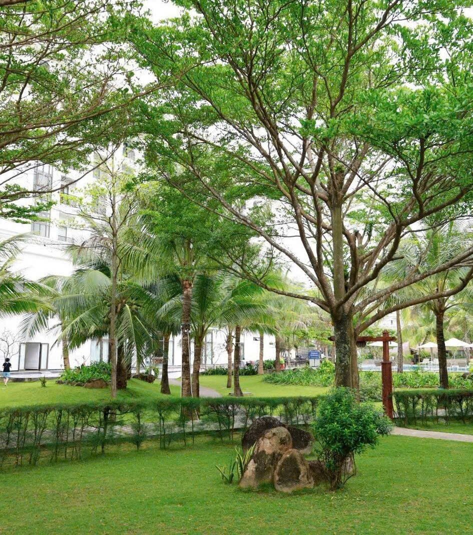 Celina Peninsula Resort-官方